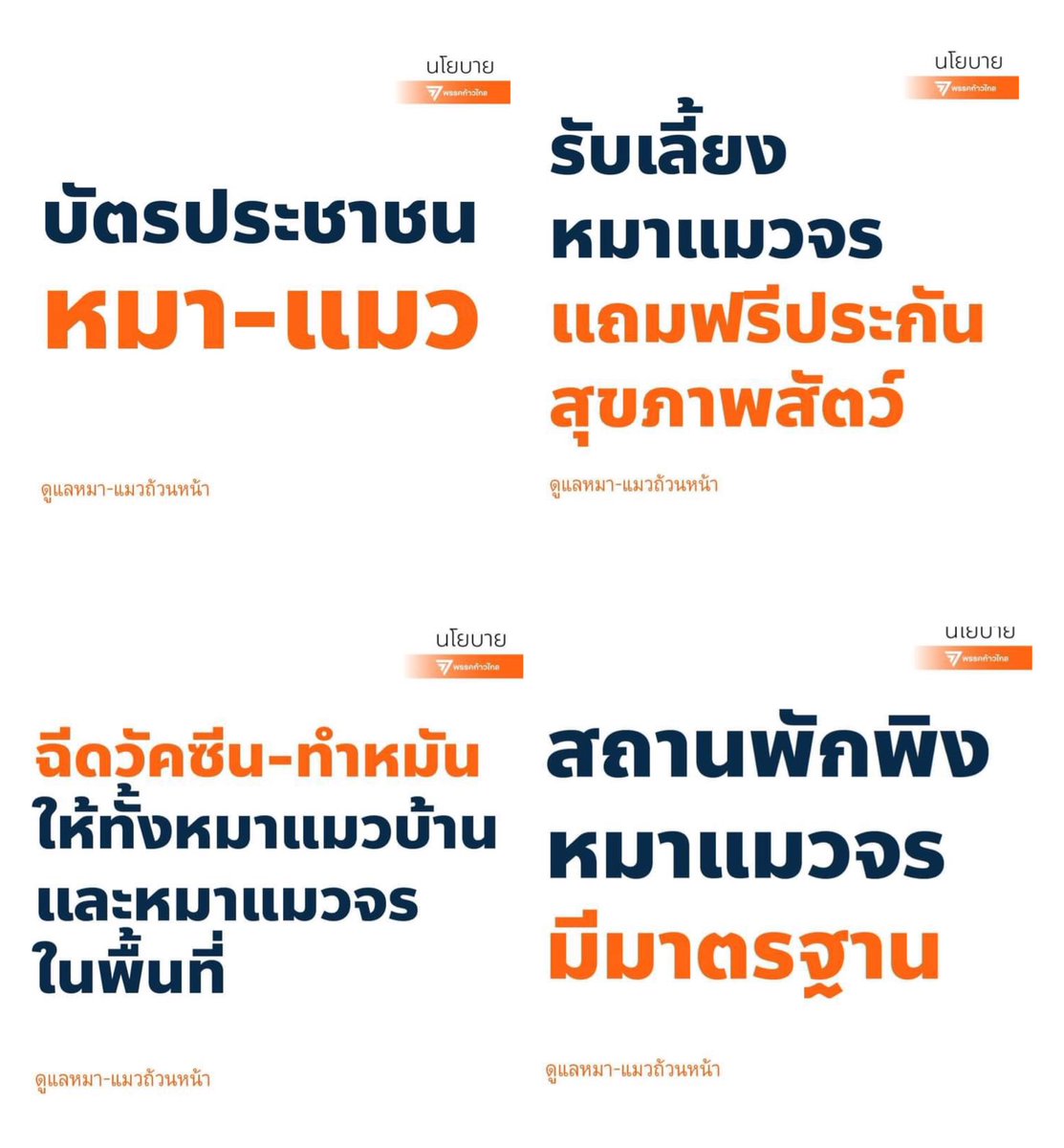 http_1day's tweet photo. งือออ นโยบายนี้พรรคส้มคิดเผื่อหมาแมวด้วย เกิ้นไปม้ากกก ดีใจแทนน้องๆ หมาแมวถ้วนหน้า ชาวประชาจะมีบัตรประชาชนหมา-แมว ประกันสุขภาพสัตว์ฟรี มีพื้นที่ให้น้องหมา น้องแมวจร ขอบคุณแทนน้องๆ สาธุ99 ค่��� 🐈🐕✨💕 #ดูแลหมาแมวถ้วนหน้า https://t.co/PLrwmFTTcq