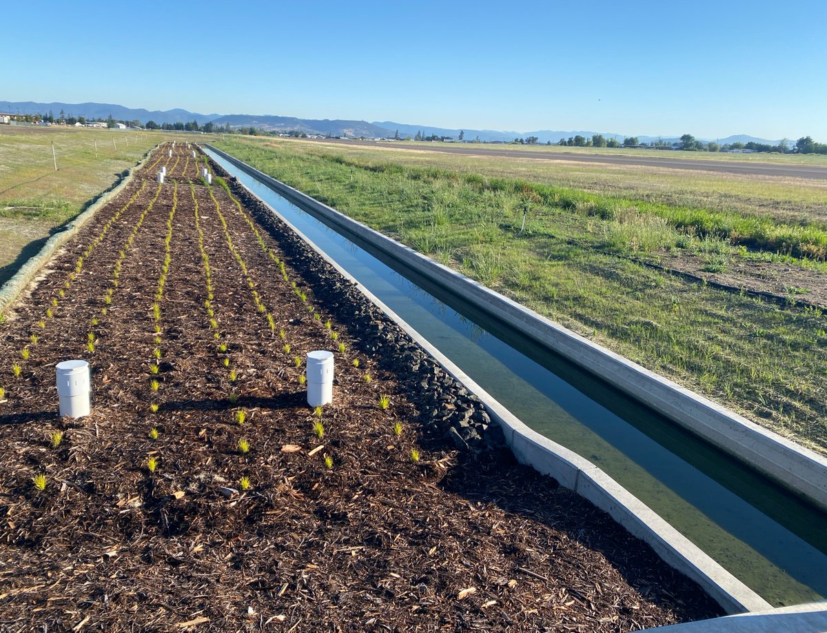 Airport Business tweet media