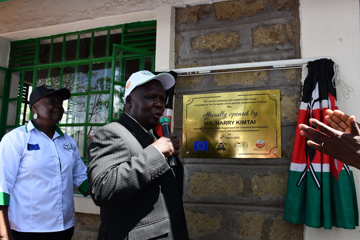 The new 2000 bird capacity breeding and multiplication house was constructed through joint funding from the European Union and Government of Kenya through the <a href="/AgriFIcsapp/">AgriFI CS APP</a> Project
