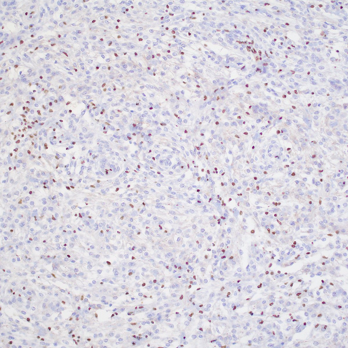 David Meredith tweet media