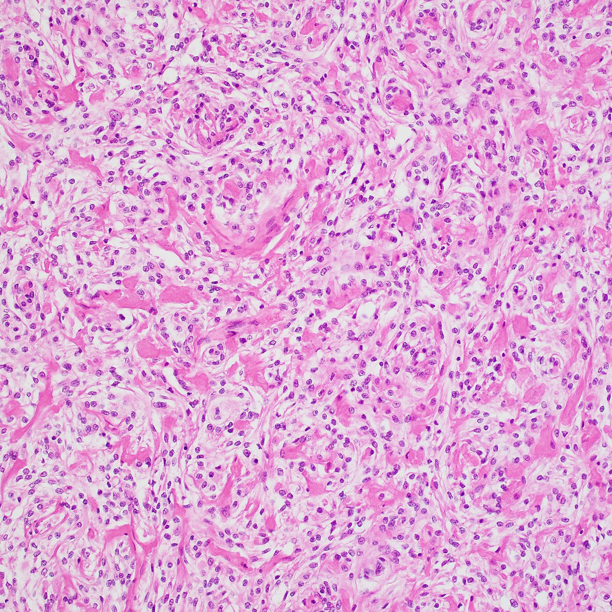 David Meredith tweet media