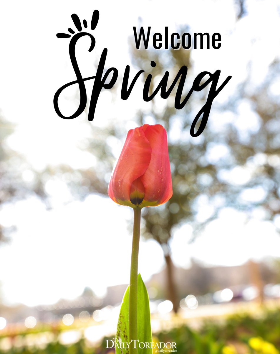 The Daily Toreador on Twitter: