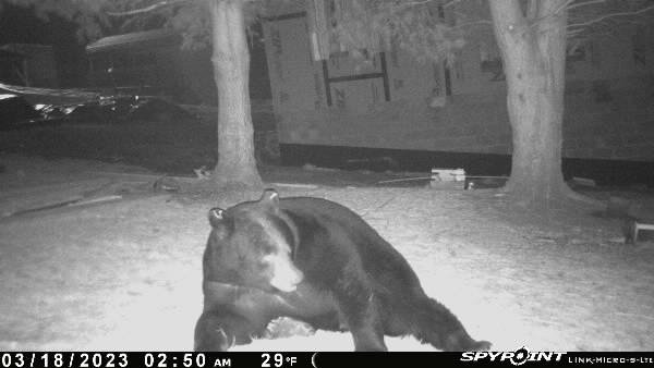 Current life concern is that this big boy is going to move into our garage while we still have no doors