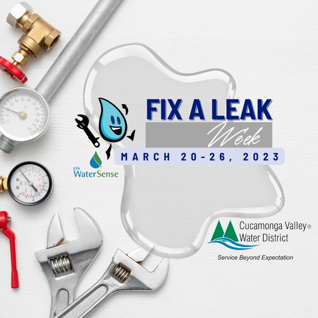 cvwdwater's tweet photo. We’ll be celebrating🥳#FixaLeakWeek💧beginning March 20. Visit our lobby display to receive dye tablets, a copy of the Practical Plumbing Handbook, & participate in our Trivia fun 🎉to be entered to win a free high-efficiency toilet🚽 + installation!
#CVWDwater💧 #FixaLeakWeek💦 https://t.co/b66ruLU1ap