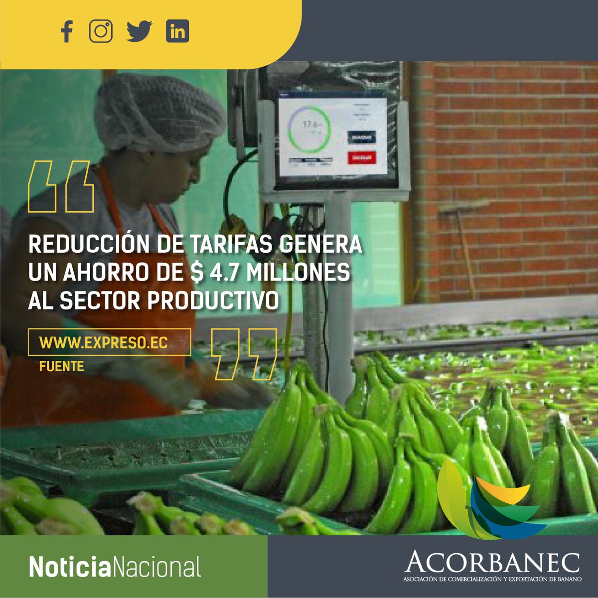 acorbanec's tweet image. En entrevista con el diario Expreso, nuestro Director Ejecutivo, Richard Salazar, enfatizó esta medida como un buen trabajo, pero aún hay mucho por hacer en cuestión de incentivos para el sector bananero.
Más detalles en el siguiente enlace
n9.cl/plkcx

@Richardwsv