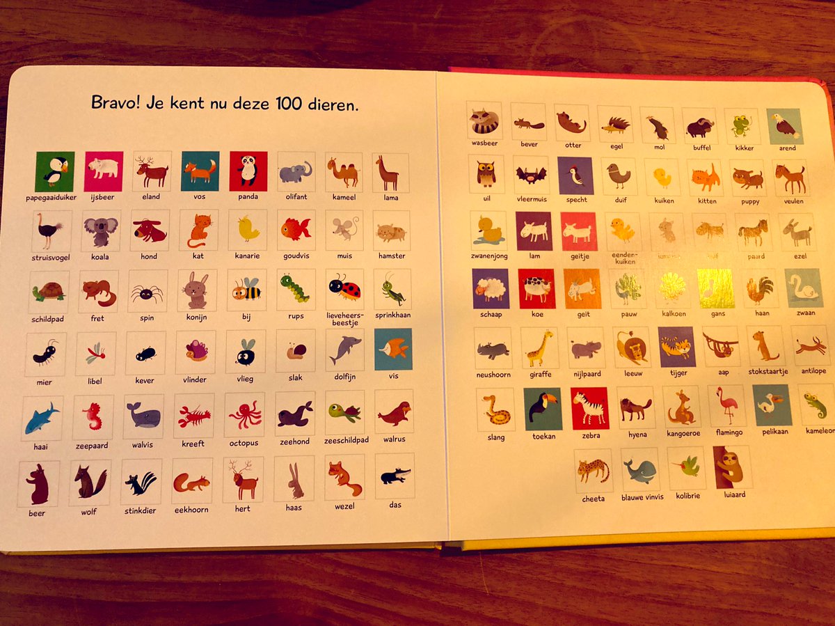 Dieren leren 💙👶🏻 en we beginnen met… de papegaaiduiker 🦜🤿 #vocabulair #prio #levenmeteendreumes #boekjelezen #vakliteratuur