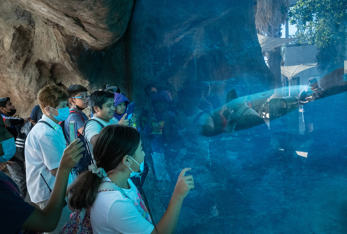 LAZoo's tweet photo. To assist our community, we’re extending our LA Unified school group pricing for currently enrolled students during school days: FREE for K-12 grade students and $5 for adult chaperones. We are also offering Community Safari Days. Learn more at: https://t.co/Z2tlN1kNj8. https://t.co/LFNPaDsUaf
