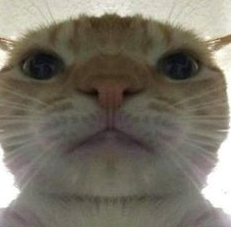 PSA!!

a new game being revealed doesn't mean you get a free pass to say mean shit about game changers (or any other content creator for that matter)

if your mama didn't teach you manners then i will. it's literally free to be nice xxx