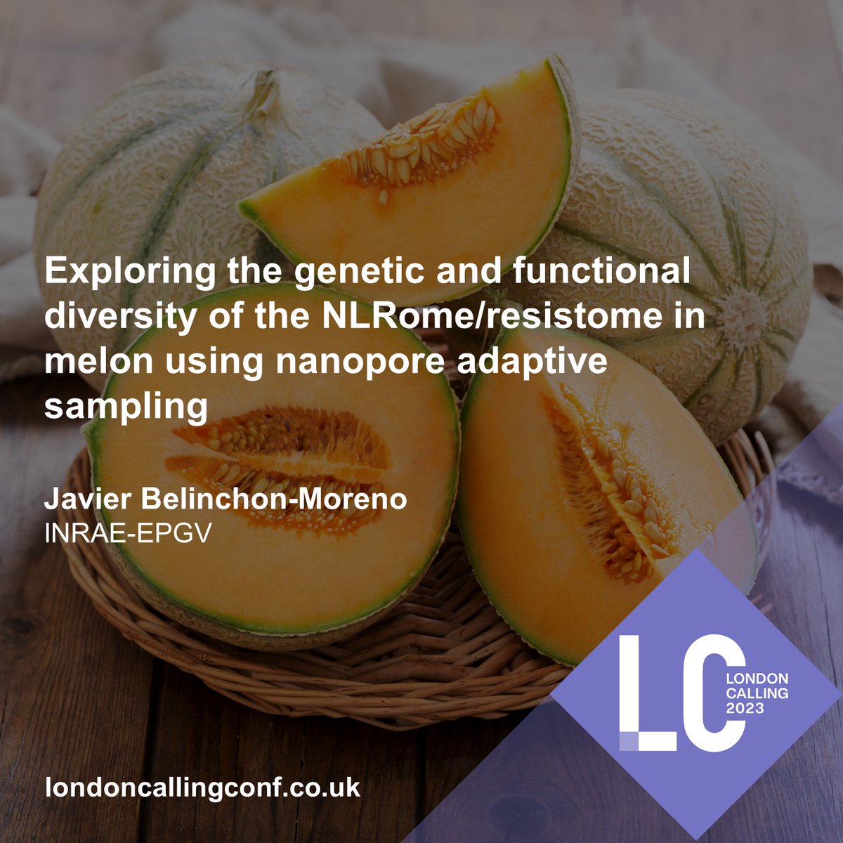 Interested in #SustainableAgriculture? 

Learn about the challenges &amp; potential solutions to characterising complete disease resistance genes in plants. Join Javier Belinchon-Moreno at this year's #nanoporeconf to find out more. Learn more: bit.ly/40b8Spb #AgricultureDay