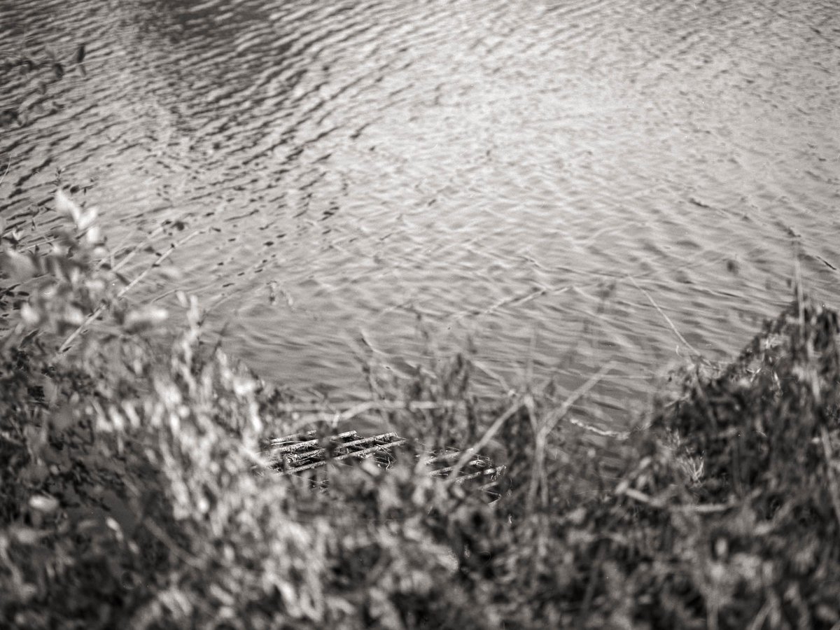 on_landscape's tweet photo. Cody Schultz writes about #DiscoveringPurpose & maintaining a #growthmindset "I wish to highlight how I have begun to find my own purpose, namely through turning moments of pain into something worthwhile " https://t.co/OxO3vcoFKp #onlandscape naturephotography bethechange https://t.co/OFCA3SmLbo