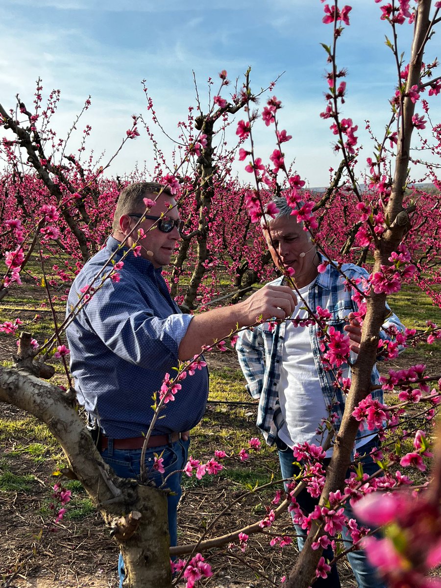 islandiarac1's tweet photo. Passegem entre arbres fruiters amb el pagès Josep Maria Chimeno, d'Aitona Gourmet (@AitonaA), i el nostre home del temps, @Abelunimbus.

📻 https://t.co/egFPpIhwRm https://t.co/GI9rBIpLVw