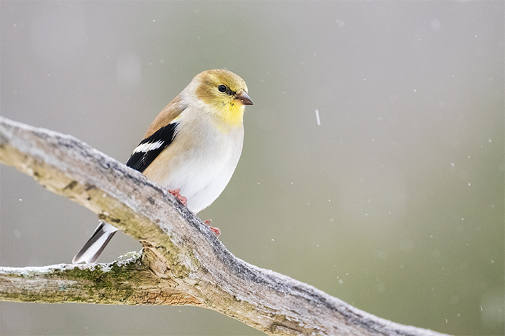 Nikon Z 100-400mm F4.5-5.6 VR S Review: A superb telephoto zoom for Nikon’s mirrorless Z system - ow.ly/gENY50NmLEE