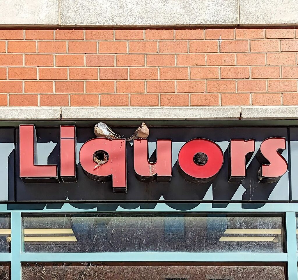 ThatAndyCohen's tweet photo. Liquor birds. Hoboken NJ.

#ilikedthecolors
#urbex 
#streetscape
#urbanscape
#urbanlandscape 
#street_photography
#streetphotography
#nycspc
#myspc
#capturestreets 
#spicollective
#storyofthestreet
#streetphotomag 
#streetselect 
#streetscenesmag
#spjstr… https://t.co/TR8UK4ALU6 https://t.co/AkrH6hcBST