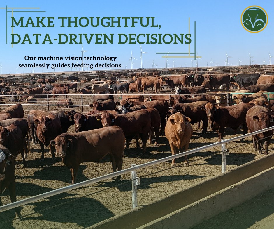 PLT Camera observations detect and analyze a variety of data points:
🐂Bunk levels
🐂Bunk slicks
🐂Feeding behavior
🐂Fill events
🐂Intake predictions (beta)

Get started today!
✉️ info@precision-livestock.com