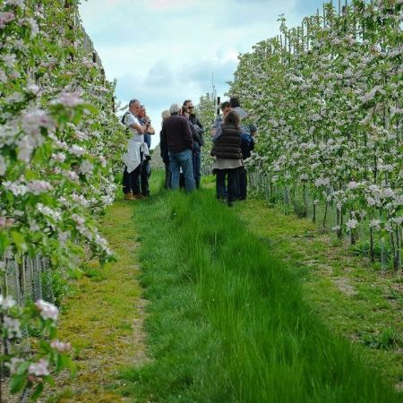 Alex Charrington tweet media