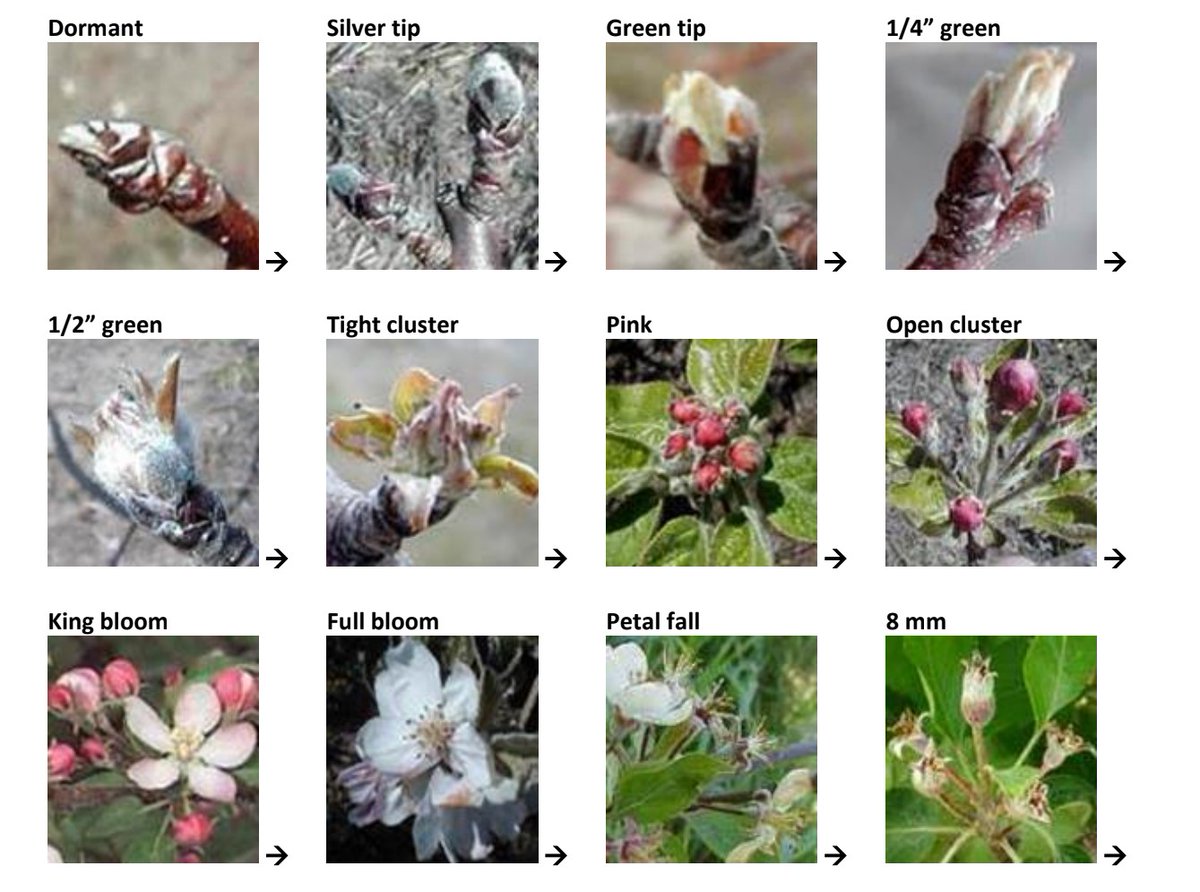 Alex Charrington tweet media