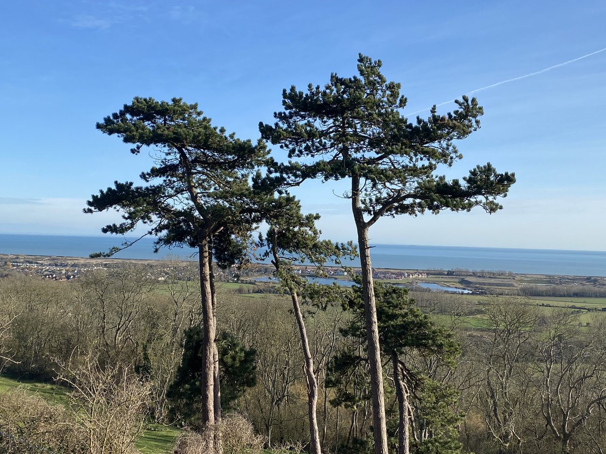 South East Best Guides tweet media