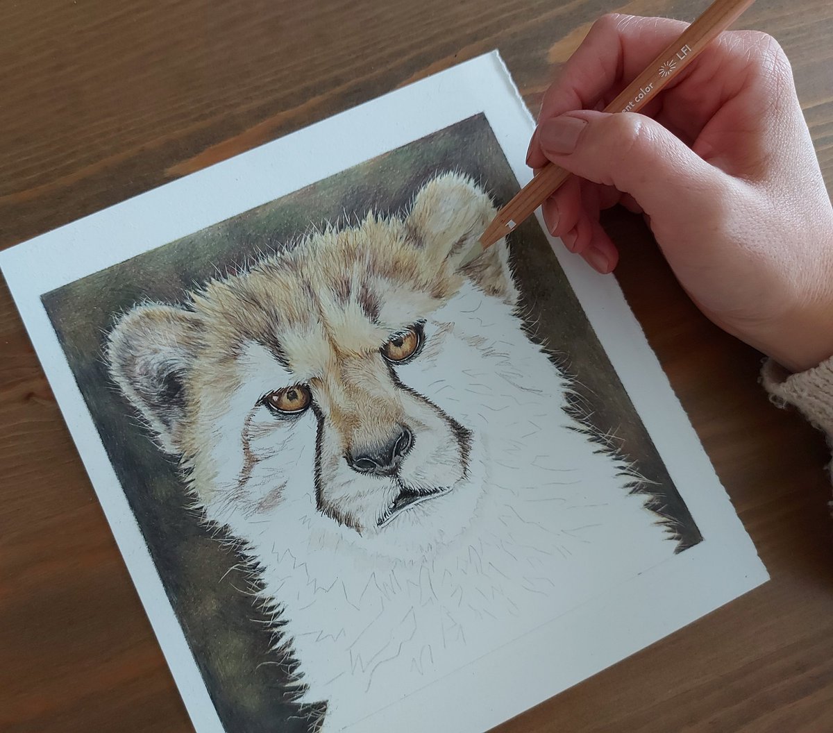 Managed a few more layers today. 

#WorkinProgress #Cheetah #drawing #colouredpencil #art