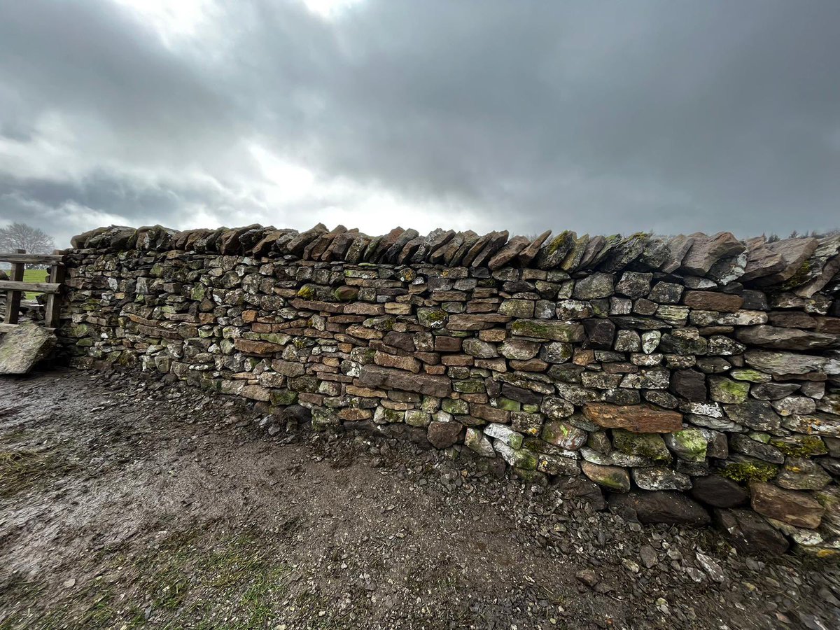 “Many hands make light work”… certainly true when the Dry Stone Walling Association volunteers come to lend a hand! Thanks for the hard work and great to see you all #farming #community #farmvolunteers #FiPL #Cumbria #WestmorlandDales #YorkshireDales