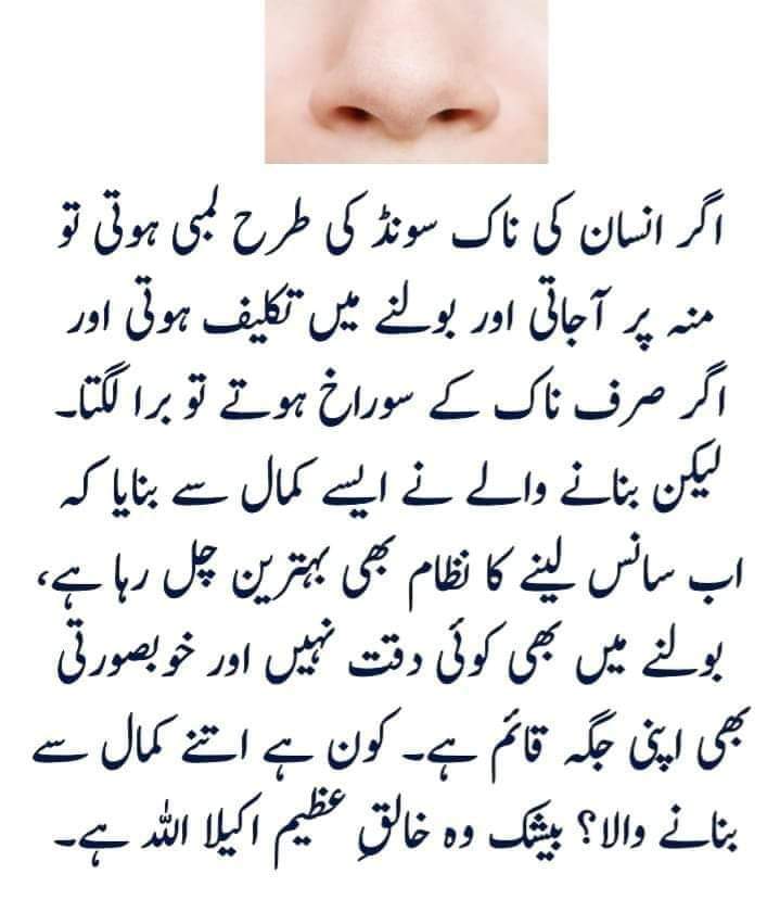 BotAttitude's tweet photo. Assalamualaekum https://t.co/ZCqEL6Fdtt