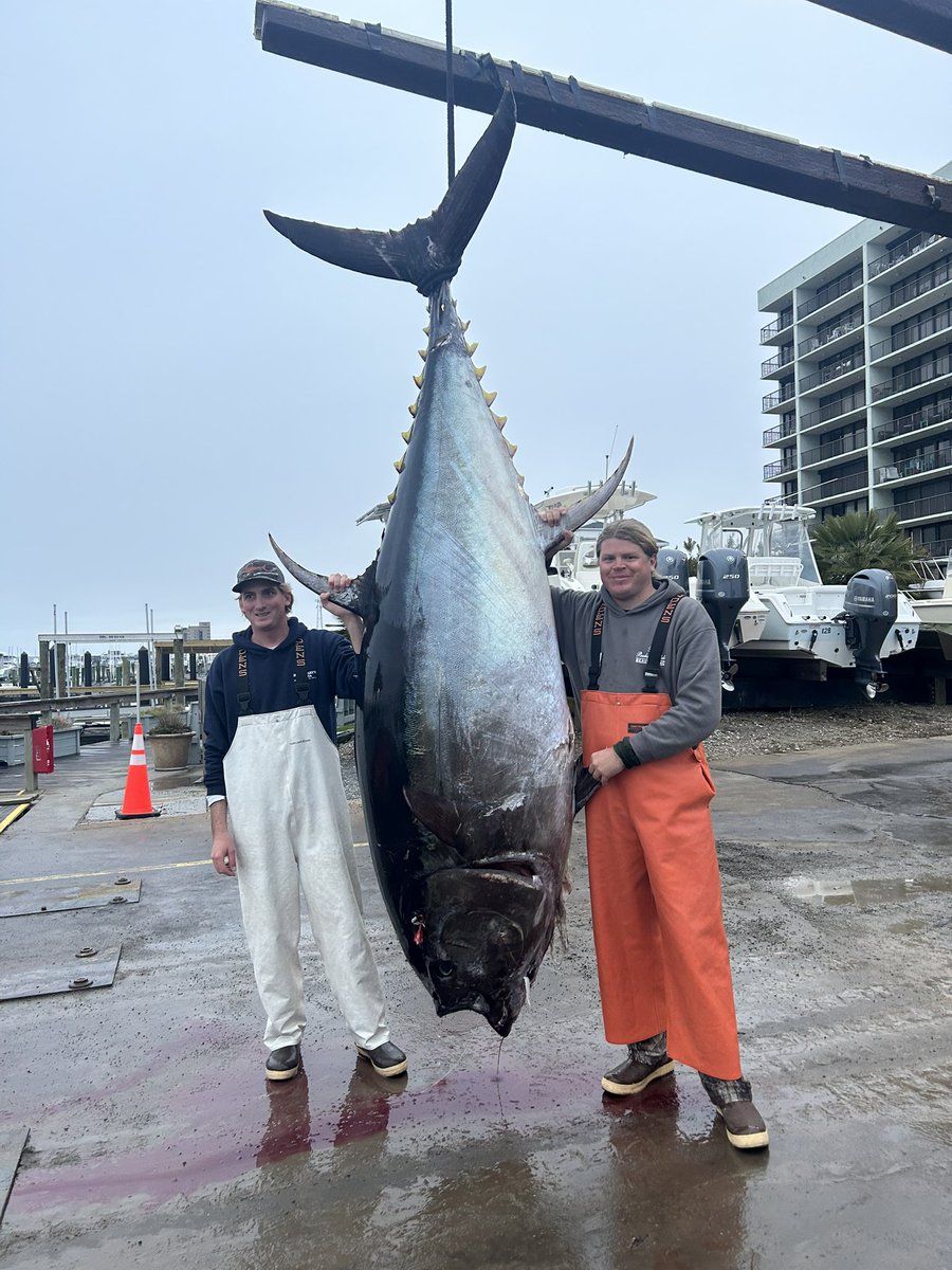 FlatRicky17's tweet photo. All these racing questions directed to @Kenny_Wallace, and I know he’ll get a trophy at I-55, but when are you gonna come to nc to get a trophy fish Herm? https://t.co/EWvES9rJQd
