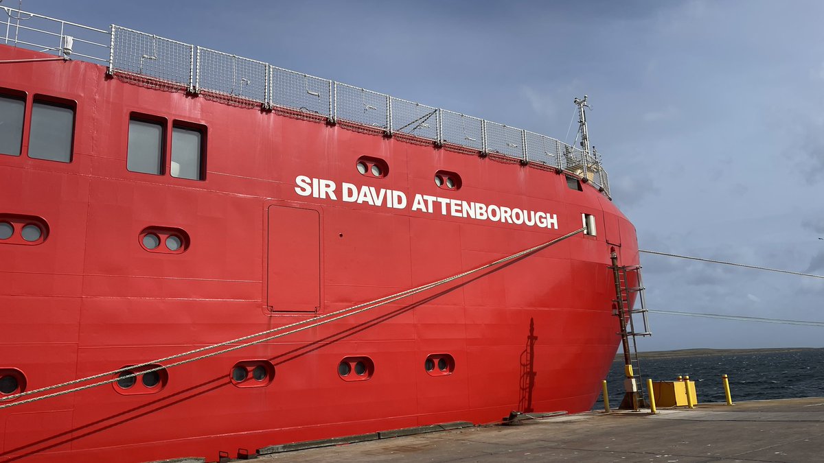 BAS_News's tweet image. After over 7 weeks at sea the #SDAScience expedition is finally at an end and the science team flies home tomorrow. A gentoo penguin turned up at the harbour to see us off!