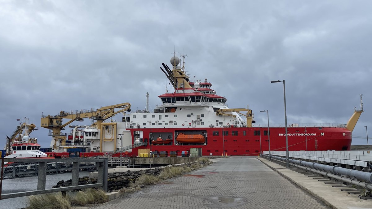 BAS_News's tweet image. After over 7 weeks at sea the #SDAScience expedition is finally at an end and the science team flies home tomorrow. A gentoo penguin turned up at the harbour to see us off!