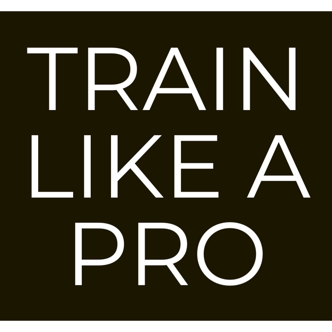 What does it mean to "train like a pro"? 

A commitment to getting 1% better every day. To have a hunger for failure and criticism. To compete against that person you see looking at you in the mirror. 

If you're one of those types... this is your studio - you'll fit right in.