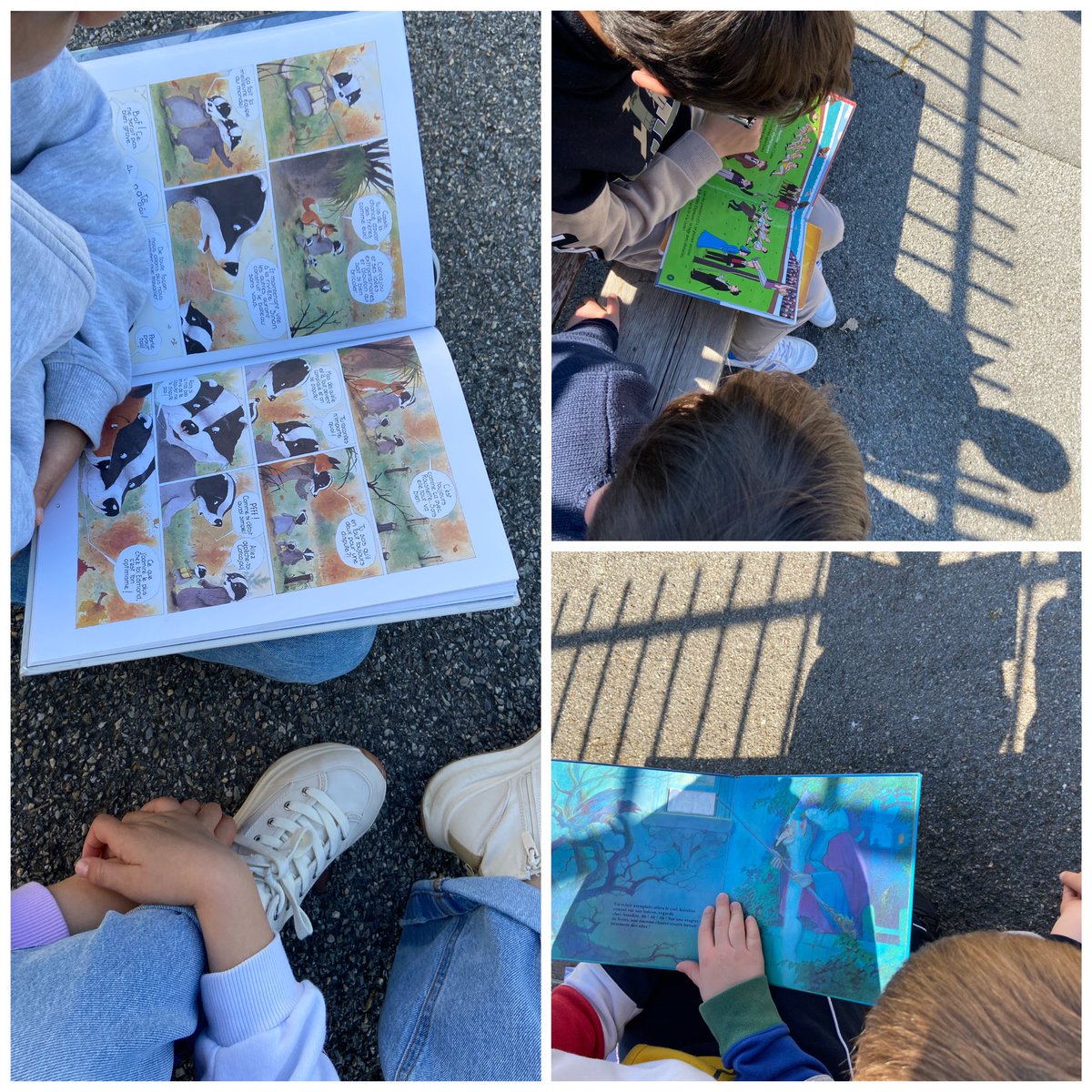 S_Bella74's tweet photo. Rencontre #lecture CM2/GS cet après-midi ➡️ l’occasion pour les élèves de se confronter à divers types d’écrits: BD, documentaire, album, travailler la fluence dans un moment de partage, donner du sens aux apprentissages #cycle1 #intercycle #cycle3 https://t.co/FUJ24gCWpC