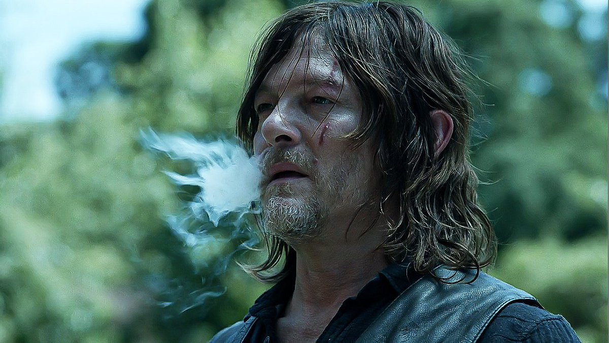 Norman Reedus as Daryl Dixon
