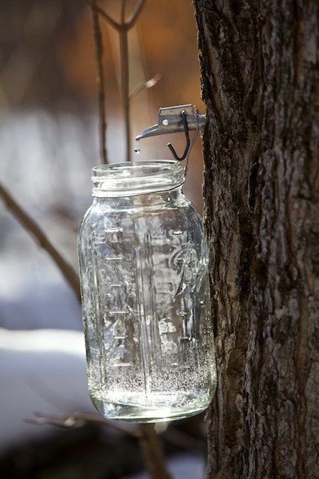 Maine maple Sunday is this weekend! We plan to hit up a couple different sugar shacks both days. Possibly in search of a new place to check out, that isn’t so busy?! 🍁#Maine #MapleSyrup #MadeInMaine #ShopLocal #Mainah #Newenglad #MapleSyrupSeason