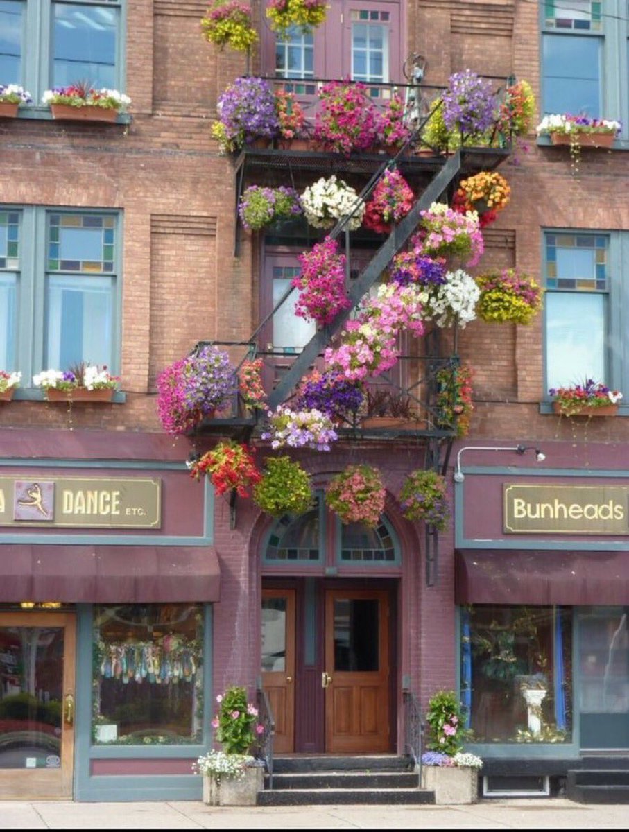 in an alternate universe, the tannies live here. the dance studio is ran by jihope, bunheads the local bakery is managed by kook (but jin and yoongi do all the work) and the flowershop is run by tae and joon. they all live together in this building too 💜