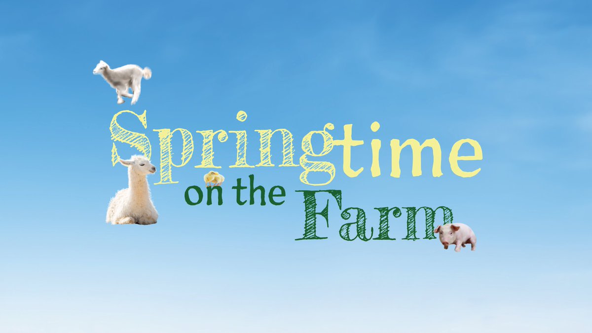 onthefarmc5's tweet photo. Farmy Army, here’s some news to put a ‘spring’ in your step… Springtime on the Farm is BACK and by popular demand we’re running for TWO WEEKS this year!!

Yes – thanks to YOU we’ve been extended for double the run of Springtime fun from the farm! https://t.co/TCAQRDuQSf