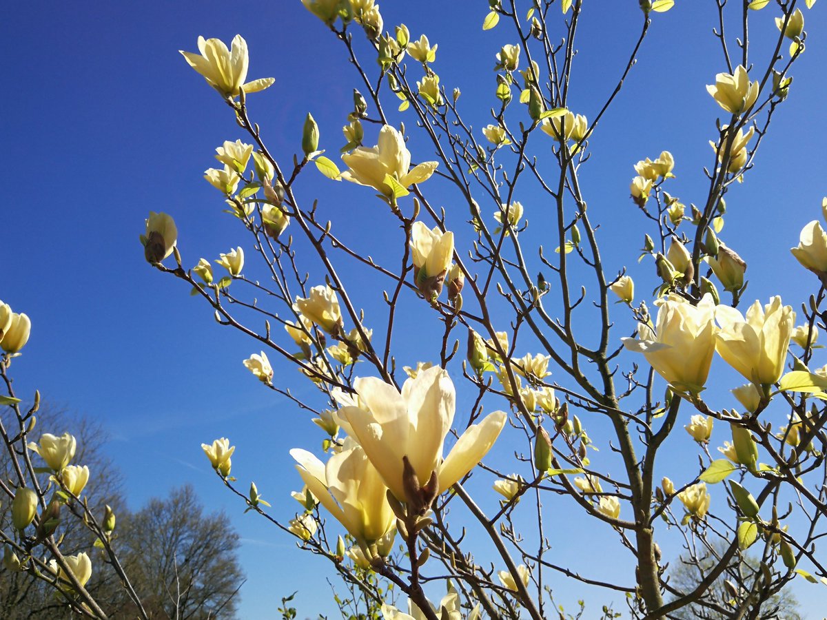 Ich wünsche Happy #Newroz2023.
Vor allem wünsche ich allen über 20.000 politischen Gefangenen im Iran, dass sie im neuen Jahr endlich ihre Freiheit wieder erlangen! @Hawar.help #FreeAllPoliticalPrisoners #JinJiyanAzadi #ZanZedegiAzadi #WomenLifeFreedom #IranWeSeeYou #FreeThemAll