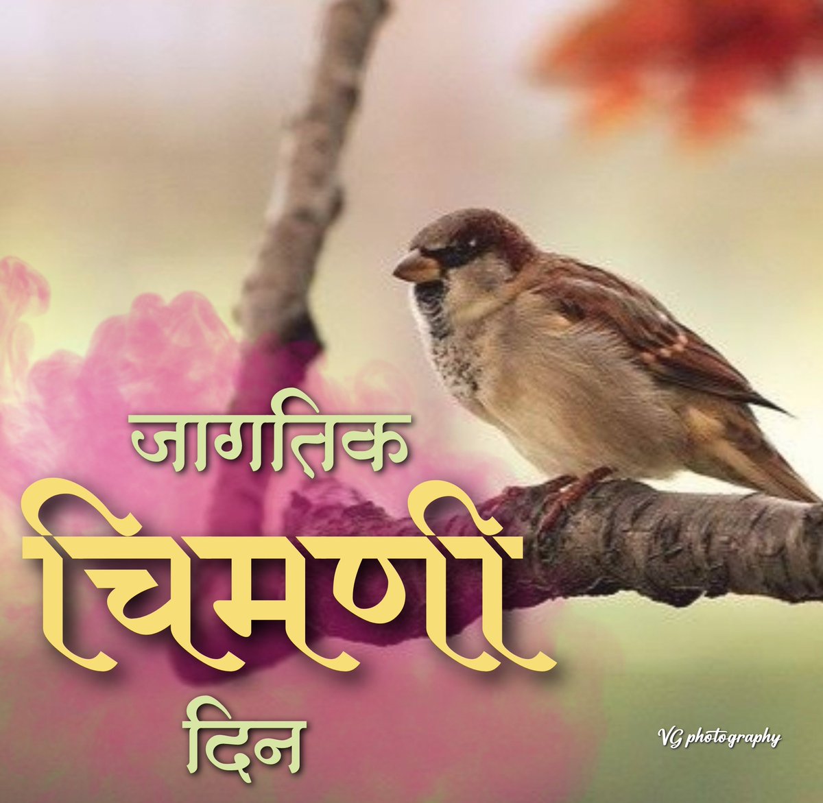 vishwajitgavari's tweet image. #dinvishesh #pune #marathi #marathiday #BARD #chimani #jagtik #Pune #Twitter #instagood