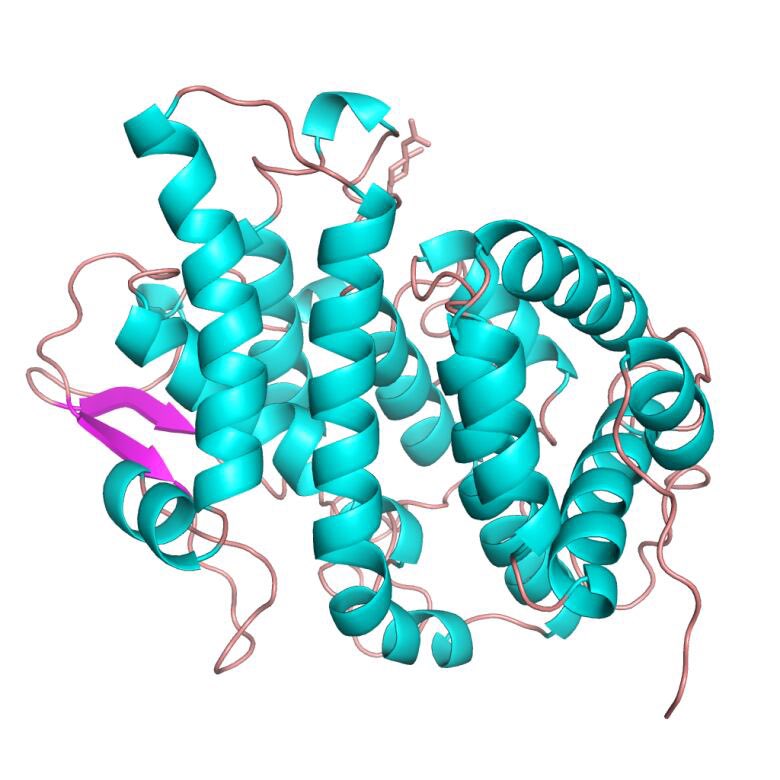 afranklynmiller's tweet image. Amazing discussion today with Jean @NuritasResearch on platypus milk, mothers have no teats and secrete milk via skin and it contains novel protein ‘Shirley Temple’ with anti microbial activity #proteomics #cellsignalling