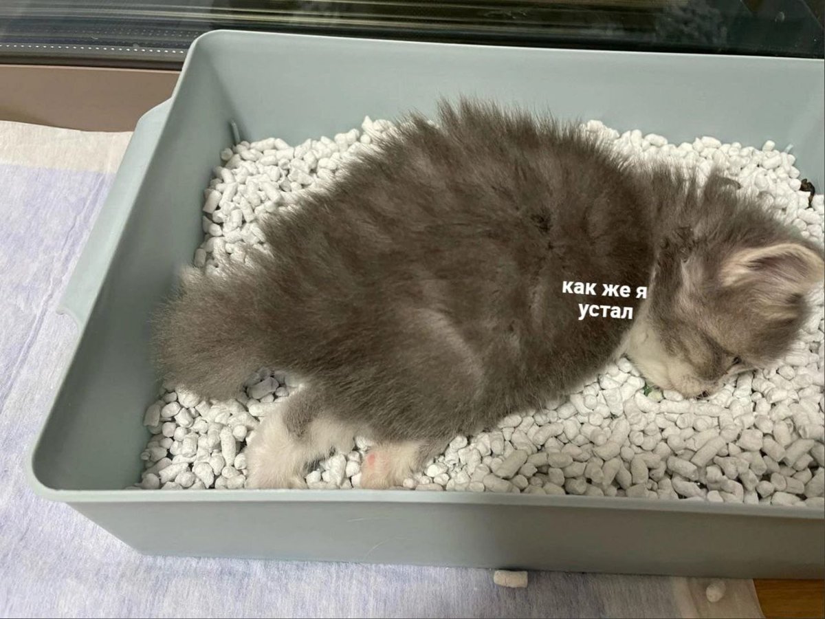 I'm so tired