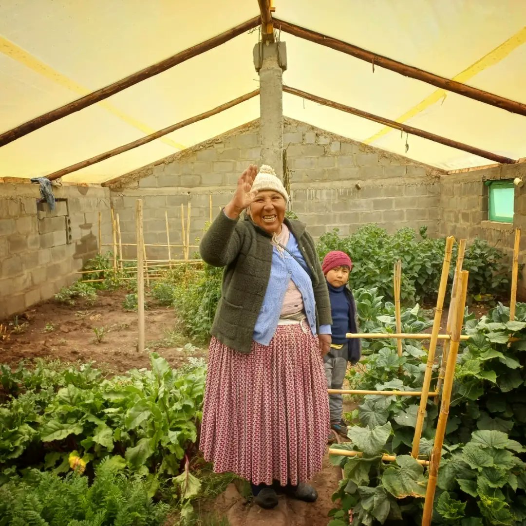 AsociacionSER1's tweet photo. (( 📢 👩🏾🌾 #Biohuertos y #TecnologiasProductivas para mejorar la productividad de leche de ganado vacuno en la comunidad de Atuncolla en Ticani Pampa, #PUNO 🥒🥕🐄 https://t.co/gGhHojt6Gl