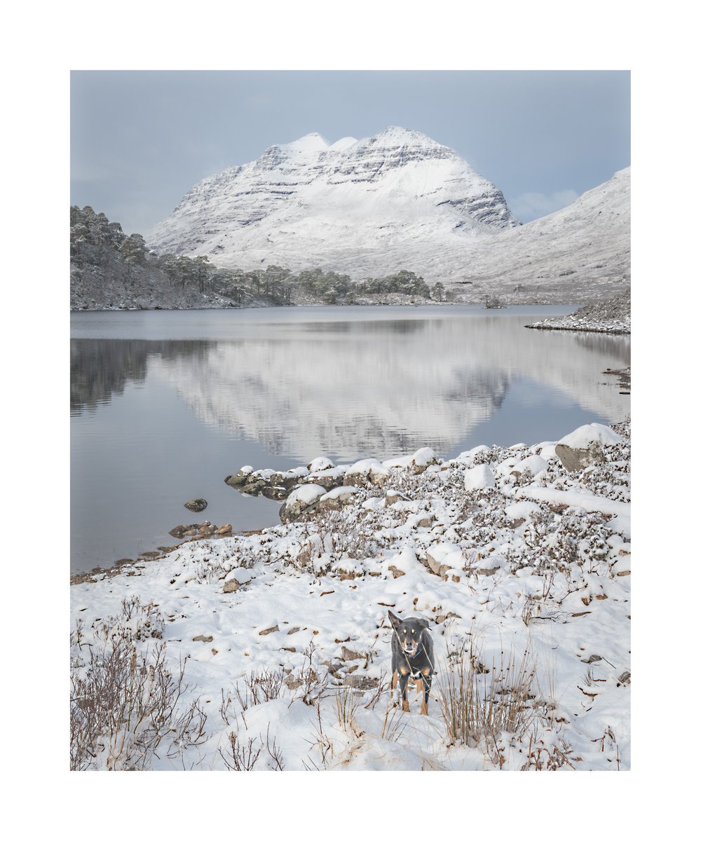 smgraceengines's tweet photo. Torridon never disappoints. #torridon #lochmaree #coulinestate #glengrudie #scotspine #lochsinsnow #australiankelpie #holidaysoverbacktoreality https://t.co/uzxgid5wSh