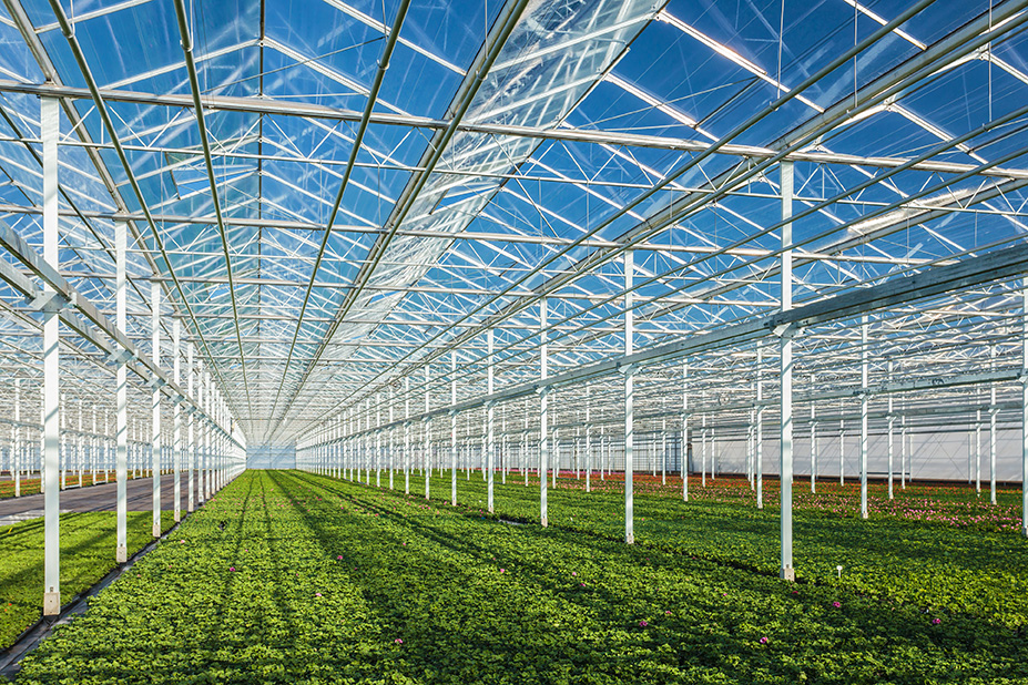 cga_acg's tweet photo. 🌱 “I think [natural gas] is certainly the key component to a resilient supply system of Canadian produce as we navigate the future.” - Aaron Coristine, @ONgreenhouseVeg

Read the full interview in the latest issue of #EnergyMagazine: https://t.co/Sf8ahFAQEq
--

#naturalgas https://t.co/aYYtzlaNso