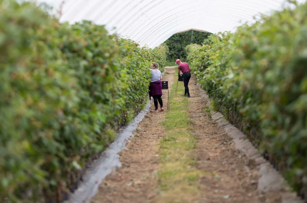 Jake Croman tweet media