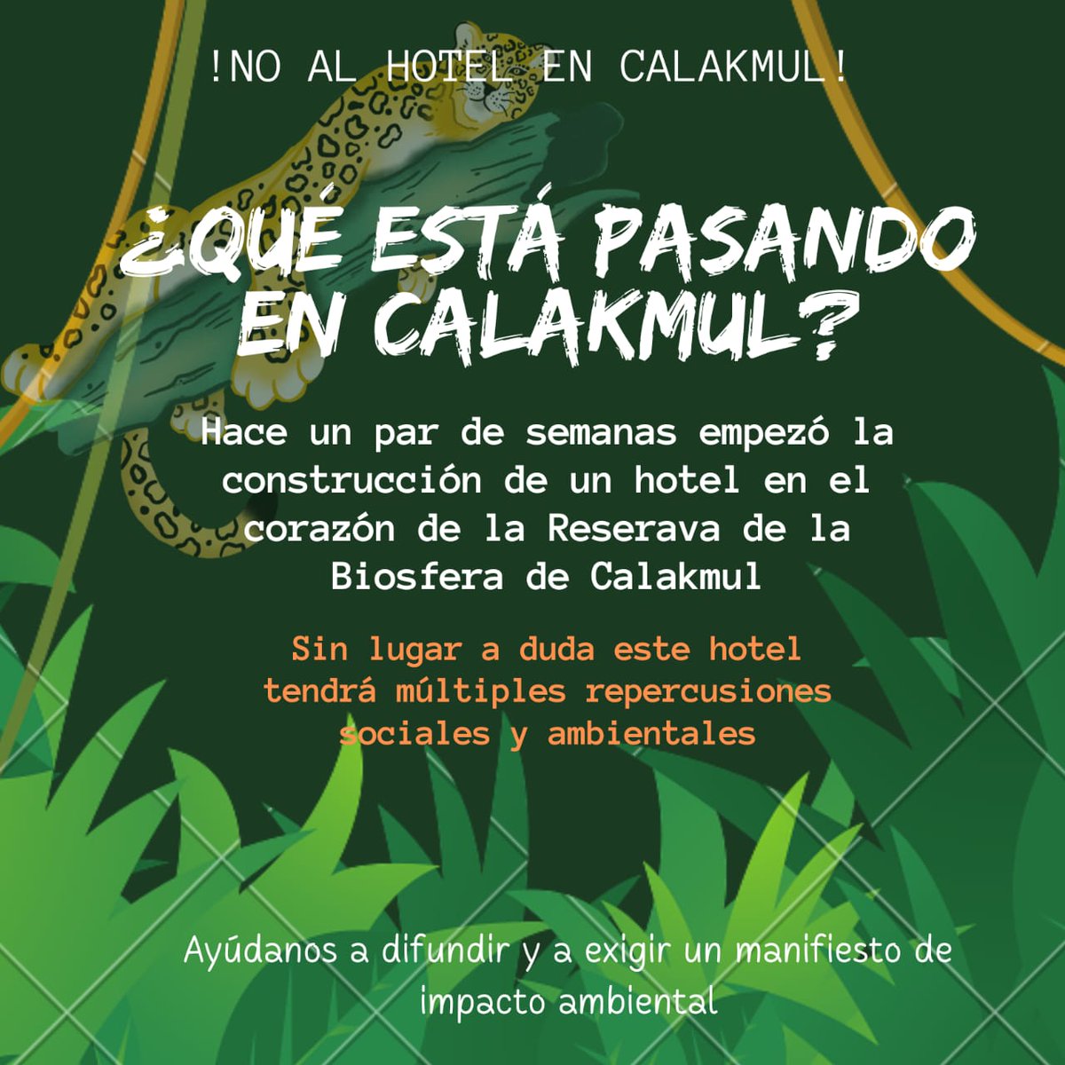 SelvaCalakmul's tweet photo. ¿Vale más un hotel administrado por la @SEDENAmx que la biodiversidad y la principal fuente de ingresos de los pueblos Conhuas y Xpujil? 
¡No al #hotel #ecocida en #Calakmul!
@CEMDA @PROFEPA_Mx https://t.co/8y0KTovnV7