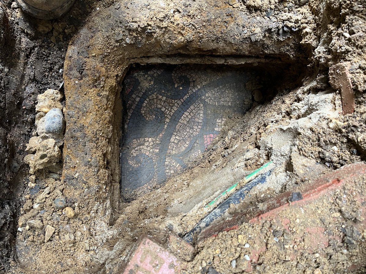 How lucky I was to have today off and stumble across Colchester Archaeological Trust in Red Lion Walk today. 

As much as I love my job - I do miss archaeology and being on site. 
What a wholesome afternoon ☺️
#MosaicMonday #RomanBritain #RomanArchaeology