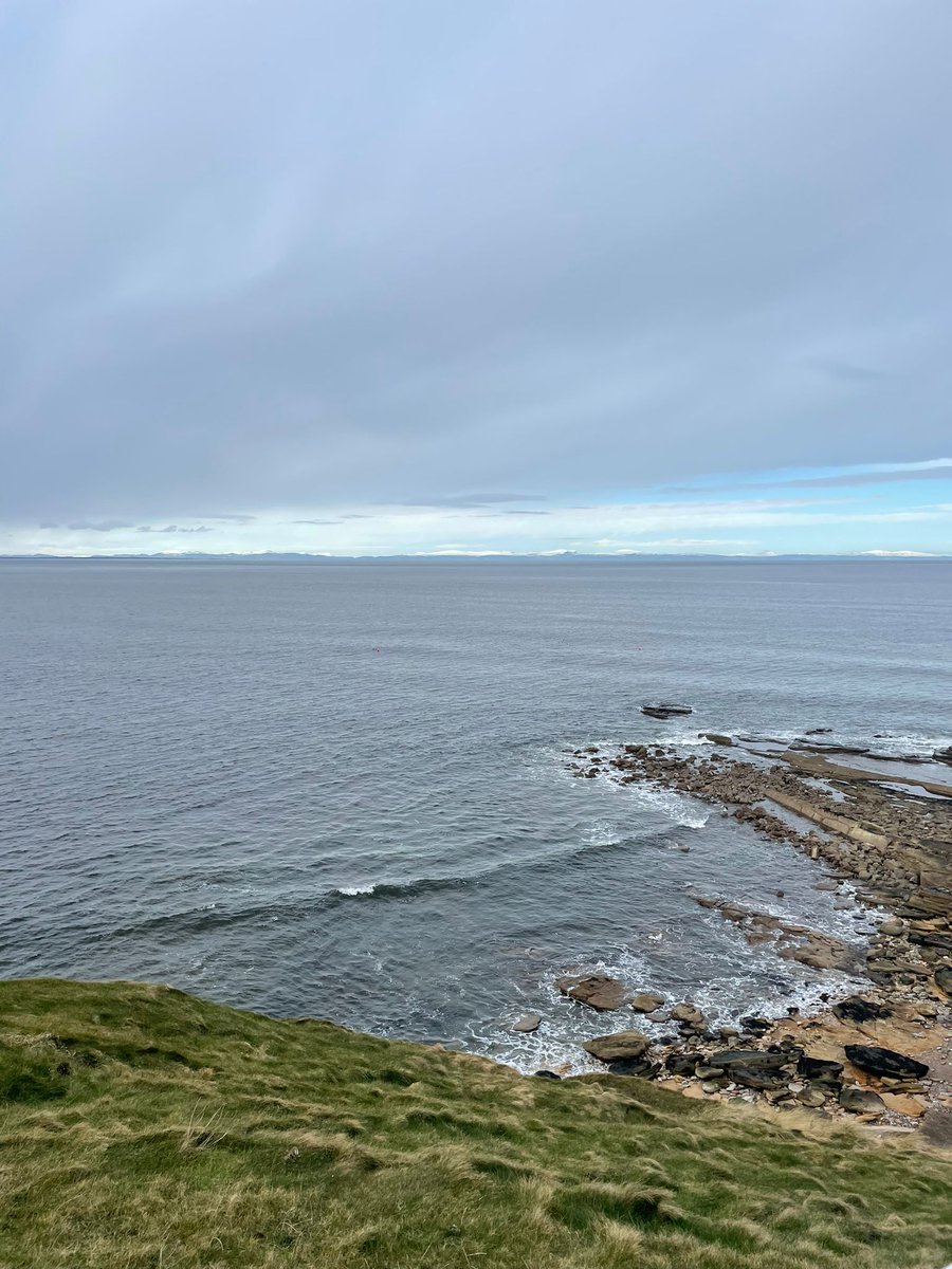 ukwildlifecrime's tweet photo. Our Detective Sgt Mark Harrison met with @whalesorg & their Shore Watch volunteers to discuss #disturbance to #cetaceans
All water users are asked to #KeepYourDistance from marine #wildlife & keep to code of conduct 🐬🐳🦭🦈 https://t.co/icVmcf5xtD https://t.co/phRypsLXLq