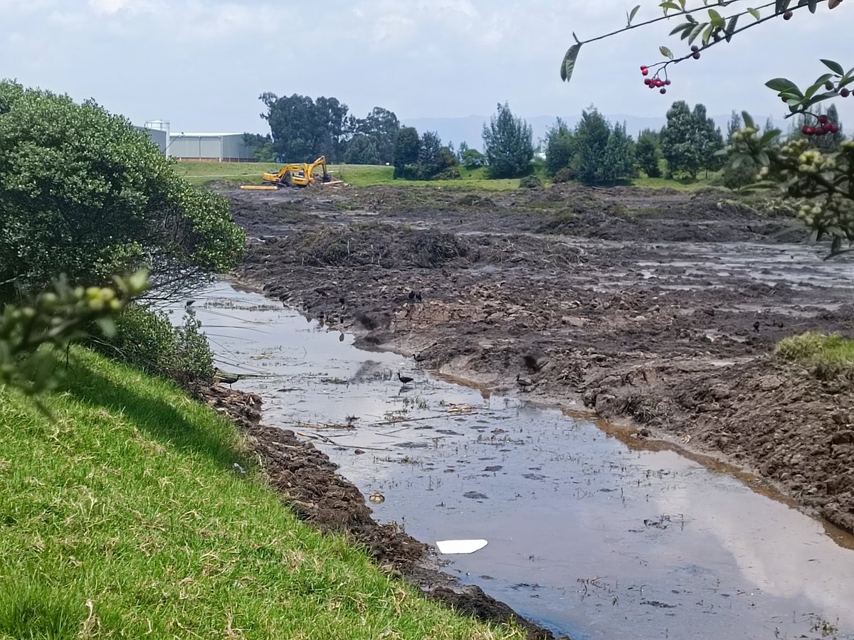 Que paso con el humedal Jaboque lo están destruyendo? <a href="/ClaudiaLopez/">Claudia López Hernández</a> <a href="/petrogustavo/">Gustavo Petro</a> <a href="/ecologistas/">Ecologistas en Acción</a> <a href="/Bogota/">Alcaldía de Bogotá</a>  <a href="/humedalesbogota/">Humedales Bogotá</a> <a href="/fhumedales/">Fundación Humedales</a> <a href="/YoSoyHumedal/">Yo Soy Humedal</a>