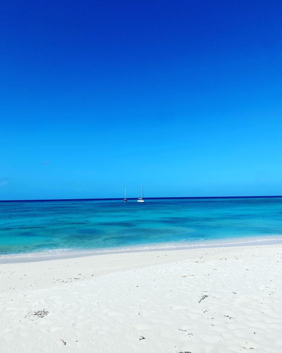 Experience the serenity that Grand Turk provides!💙 📸: @layton.tci . . . . #TurksAndCaicos #TCI #SisterIslands #Paradise #Caribbean #Vacation #BeautifulByNature #WeAreTurksAndCaicos #WhyILoveTurksAndCaicos #DreamDestination #Cruise #GrandTurk #Diving #Scuba