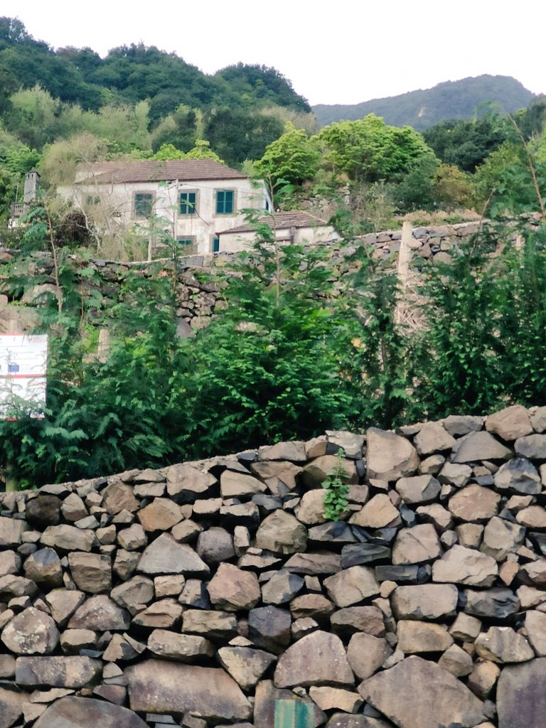 MadeiraOcean's tweet image. #Madeira, where a solid foundation is key to longevity.