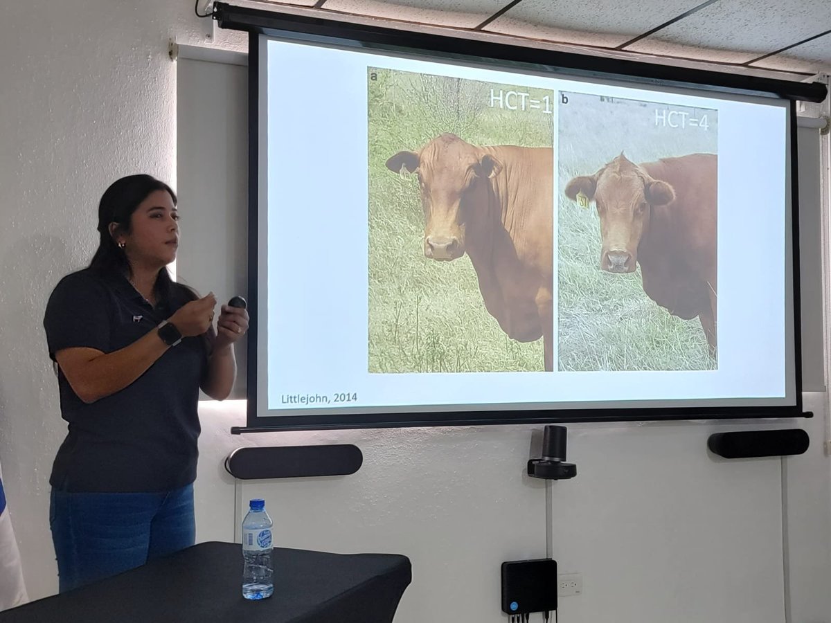 Peter James Hansen tweet media