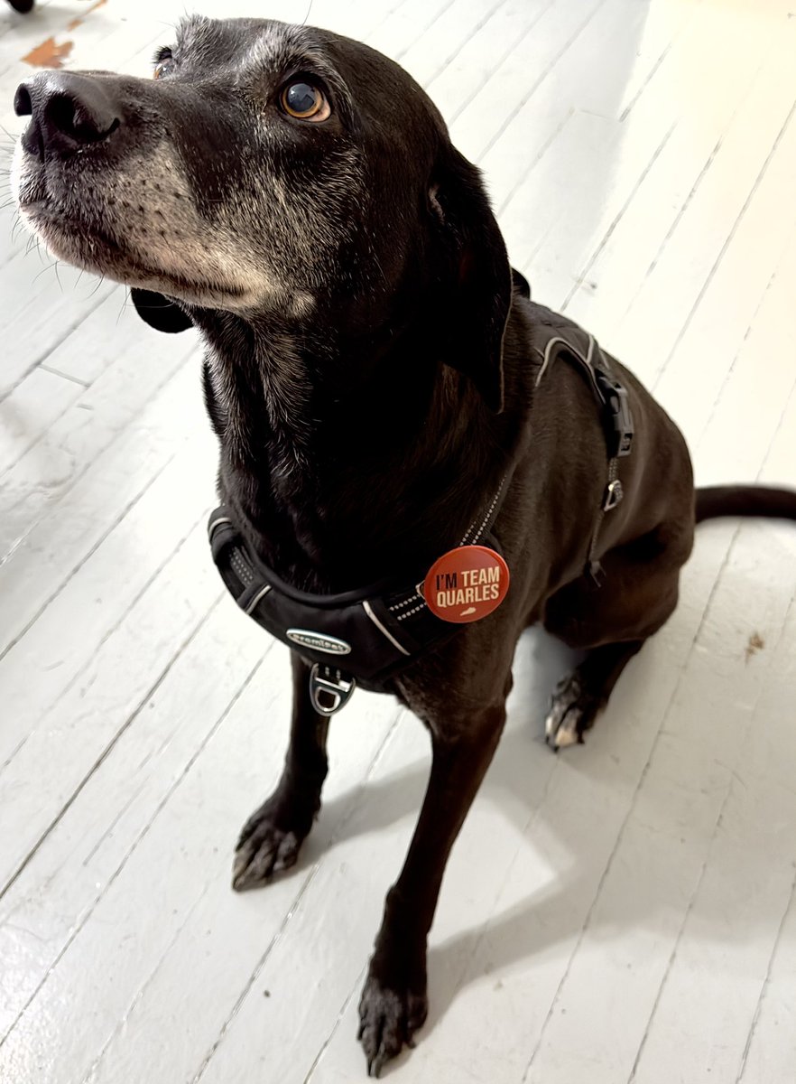 Nick Nash tweet media