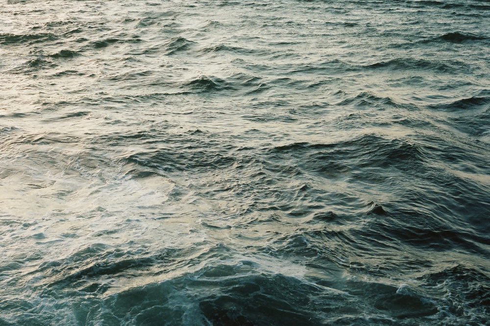 kristopher tweet media